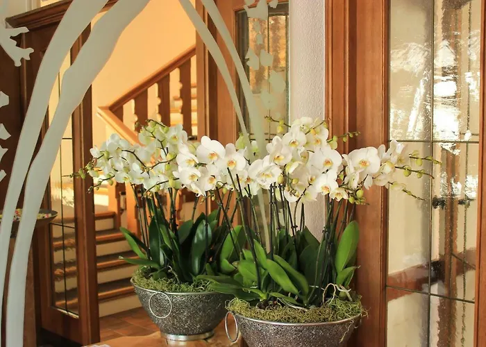 Alpenland 3* Wattens