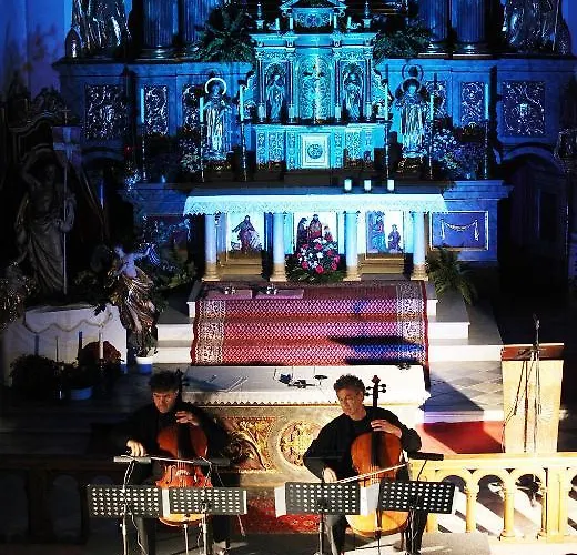 ألبينلاند 3* فاتينس