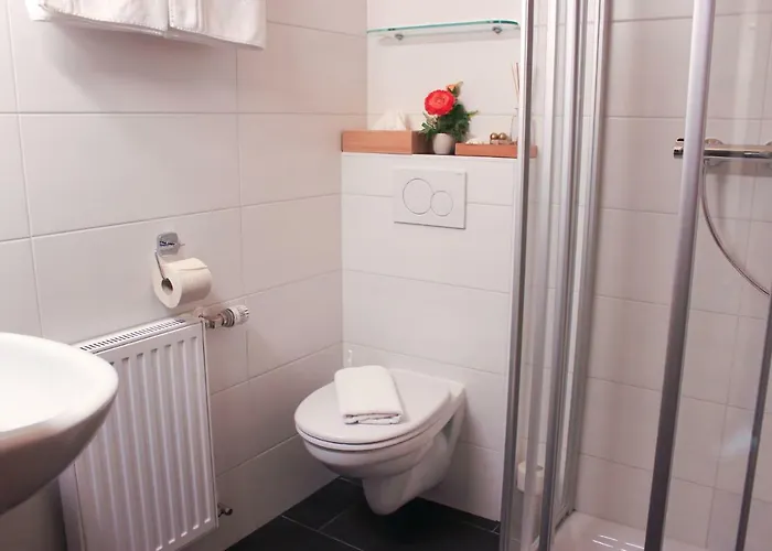 ألبينلاند فندق