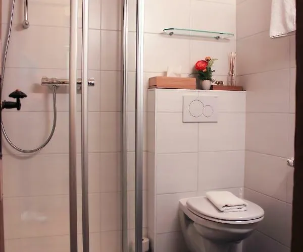 فندق ألبينلاند 3*