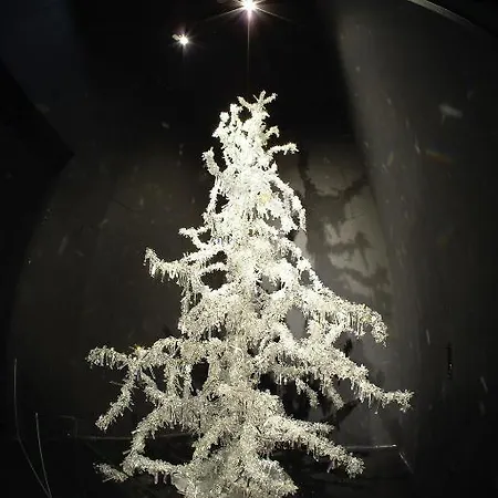 Alpenland ホテル 3*