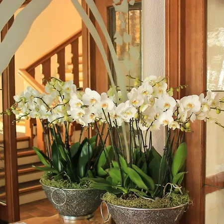 Alpenland 3* ヴァッテンス